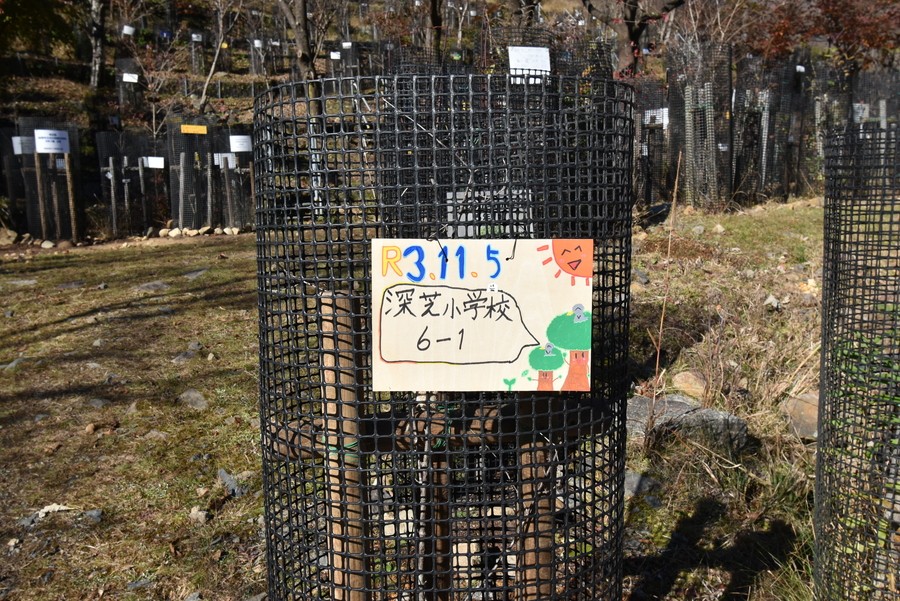 f:id:threepeaks:20211116215323j:plain