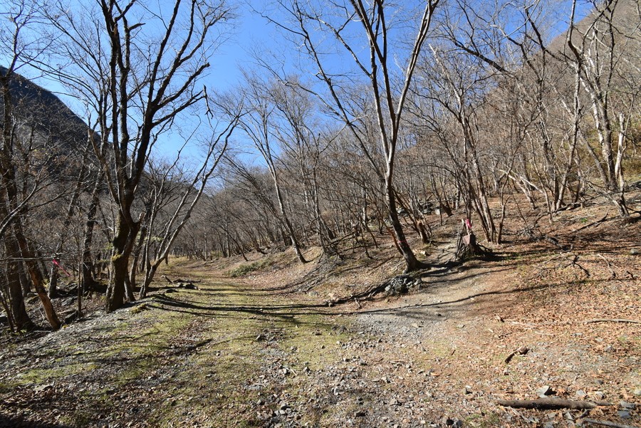 f:id:threepeaks:20211116221001j:plain