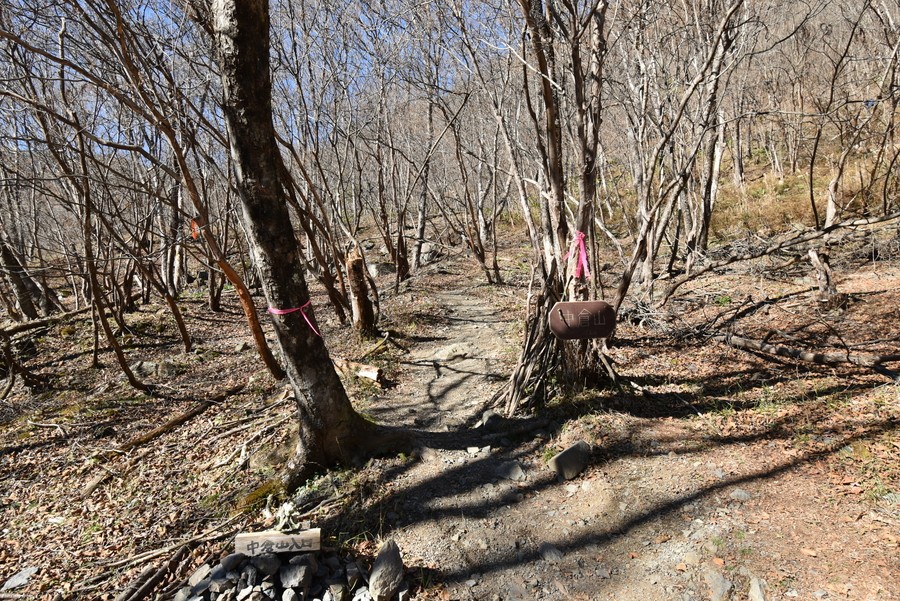 f:id:threepeaks:20211116221133j:plain