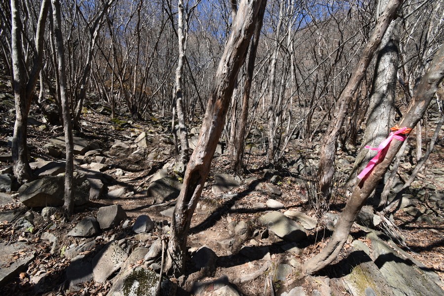 f:id:threepeaks:20211118204754j:plain