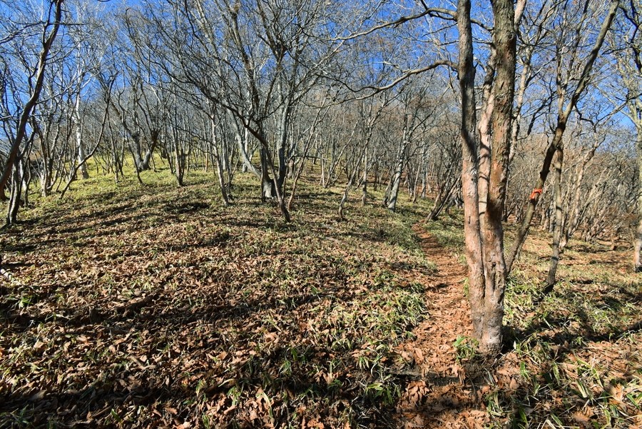 f:id:threepeaks:20211118213314j:plain