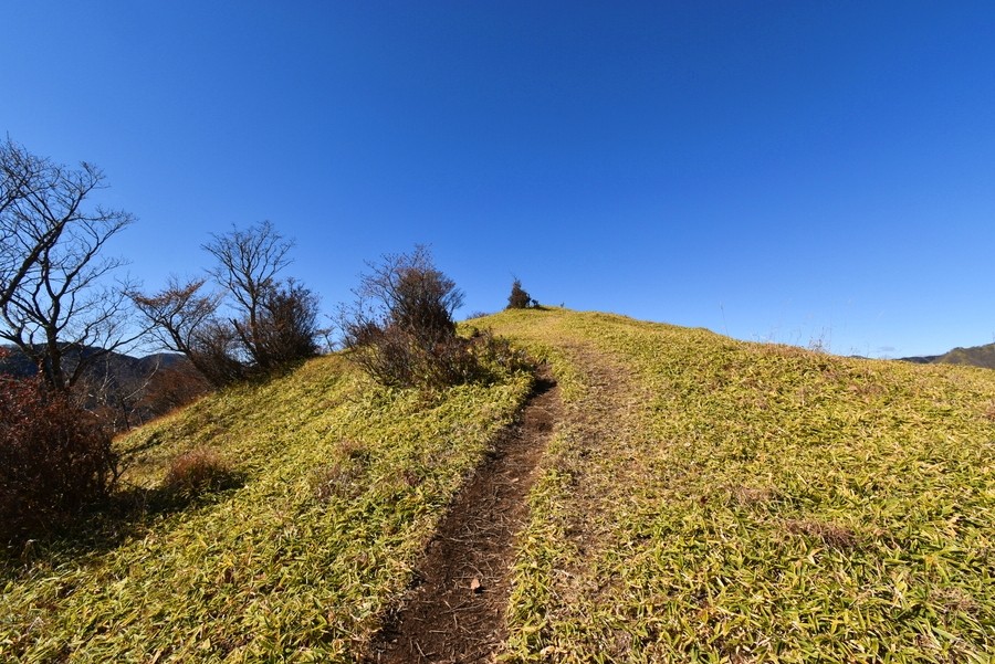 f:id:threepeaks:20211122213449j:plain