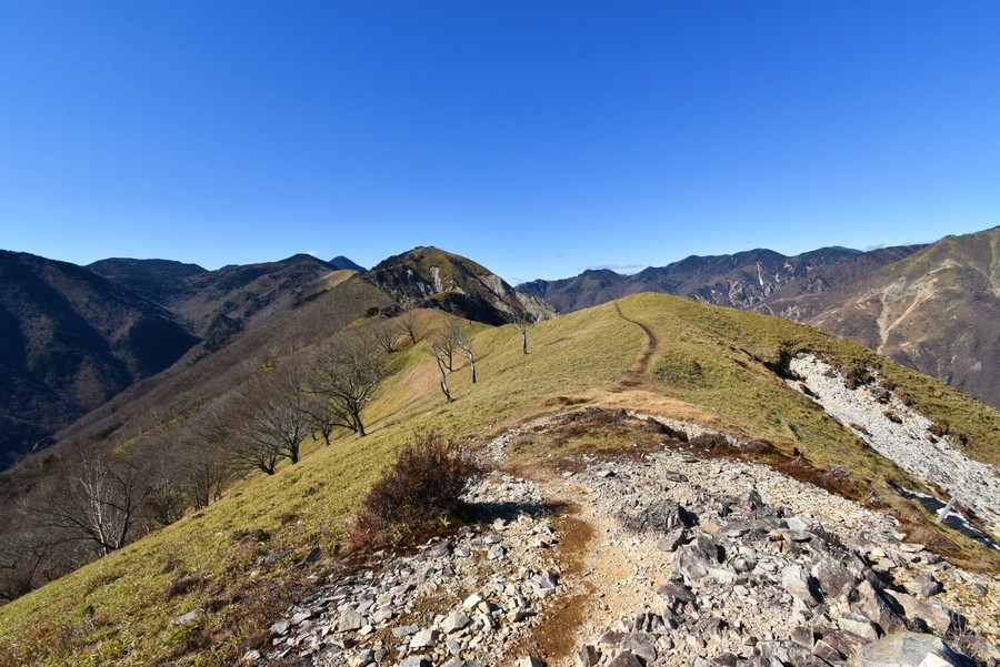 f:id:threepeaks:20211122215141j:plain