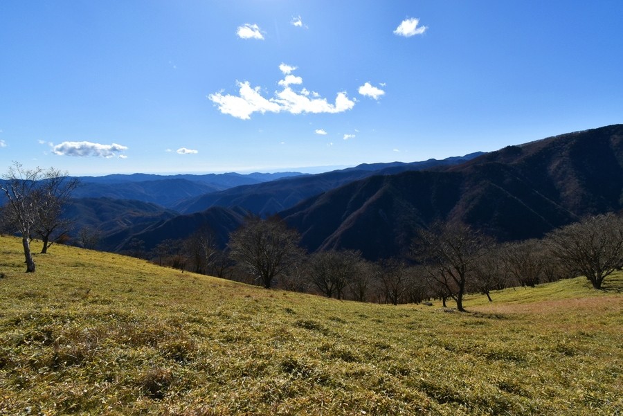 f:id:threepeaks:20211122215244j:plain