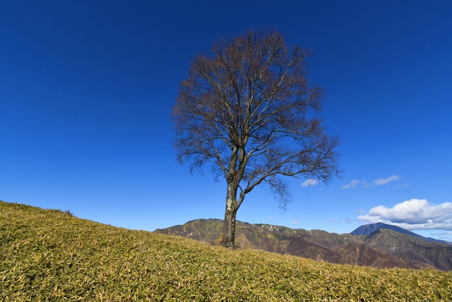 f:id:threepeaks:20211124200846j:plain