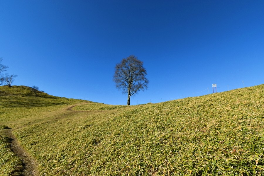 f:id:threepeaks:20211124202817j:plain