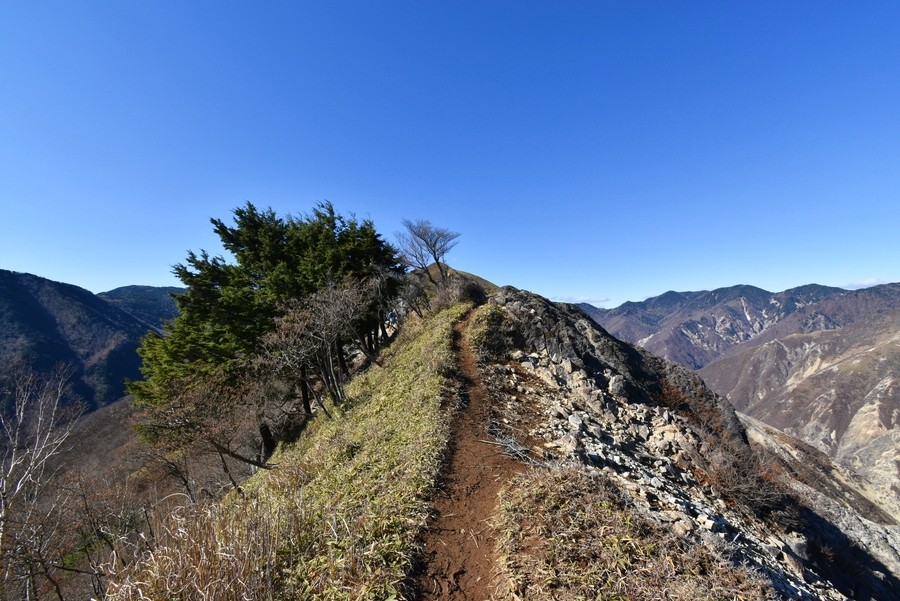 f:id:threepeaks:20211124212550j:plain