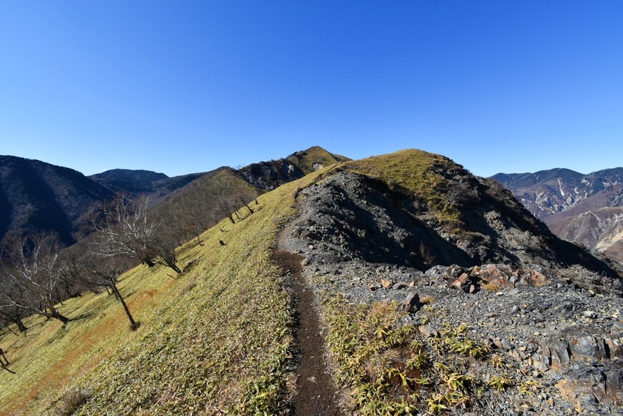 f:id:threepeaks:20211124213136j:plain