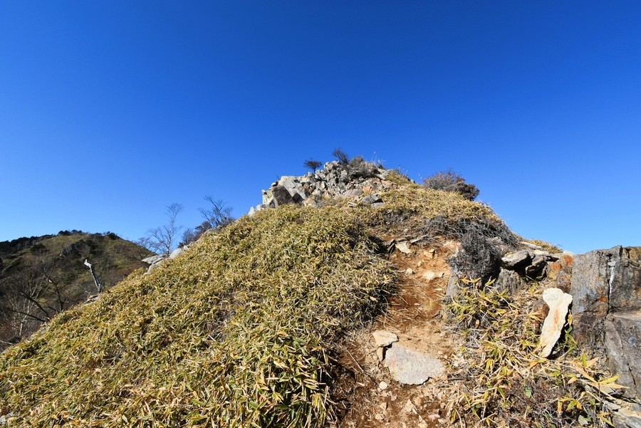 f:id:threepeaks:20211124215820j:plain