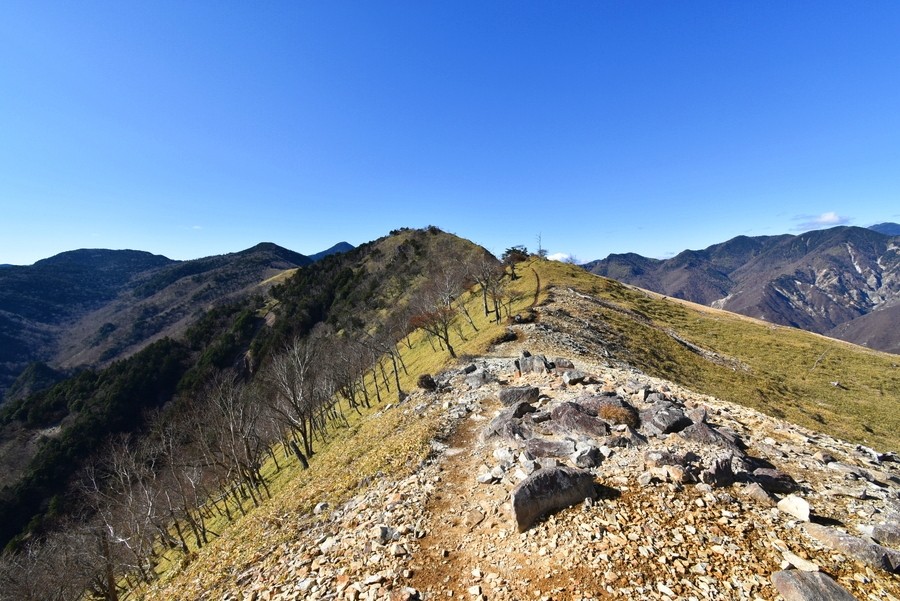 f:id:threepeaks:20211124220816j:plain