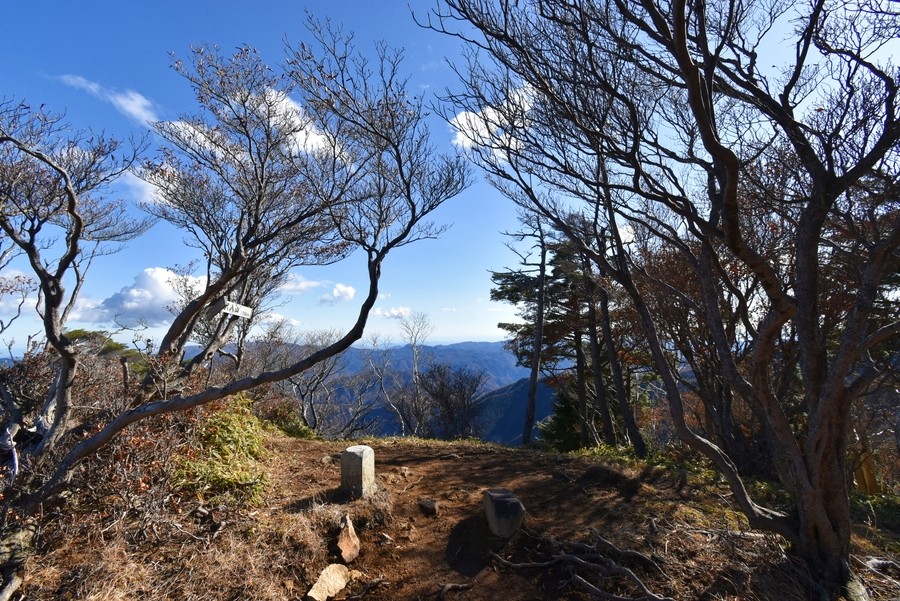 f:id:threepeaks:20211124221454j:plain