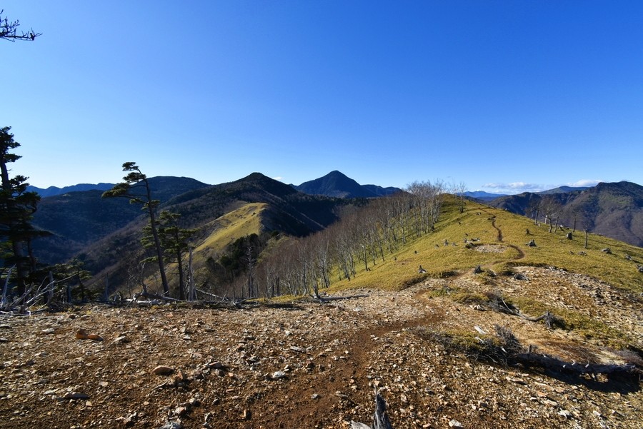 f:id:threepeaks:20211126205050j:plain