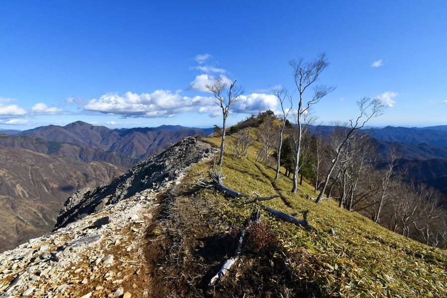 f:id:threepeaks:20211126210824j:plain