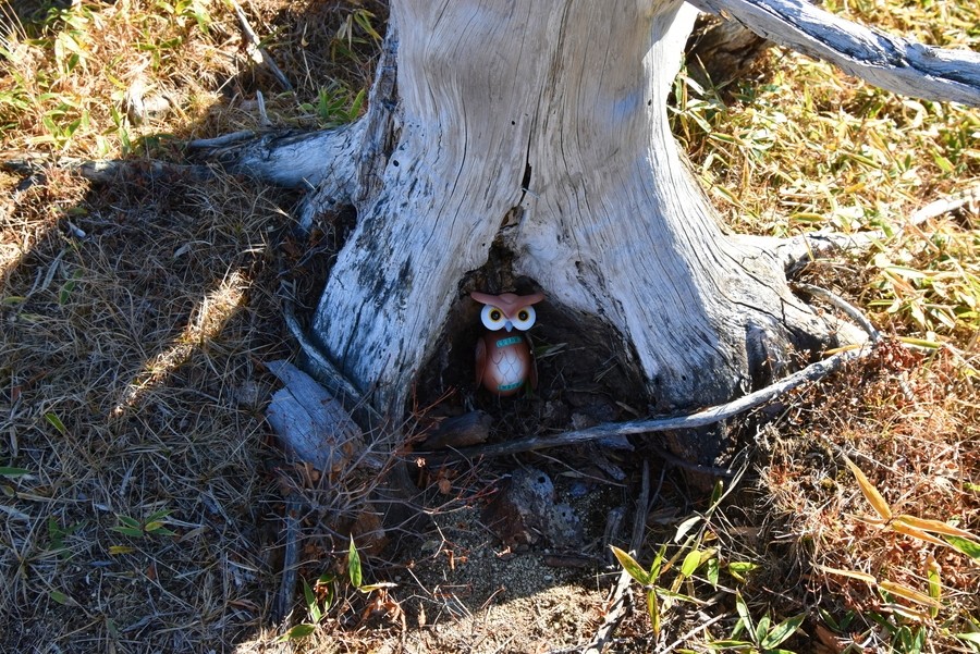 f:id:threepeaks:20211126211220j:plain