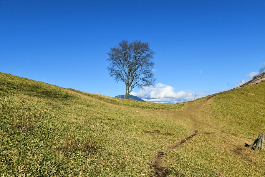 f:id:threepeaks:20211126212143j:plain