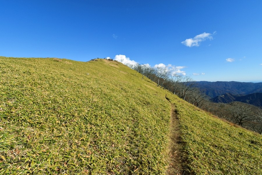 f:id:threepeaks:20211126213936j:plain