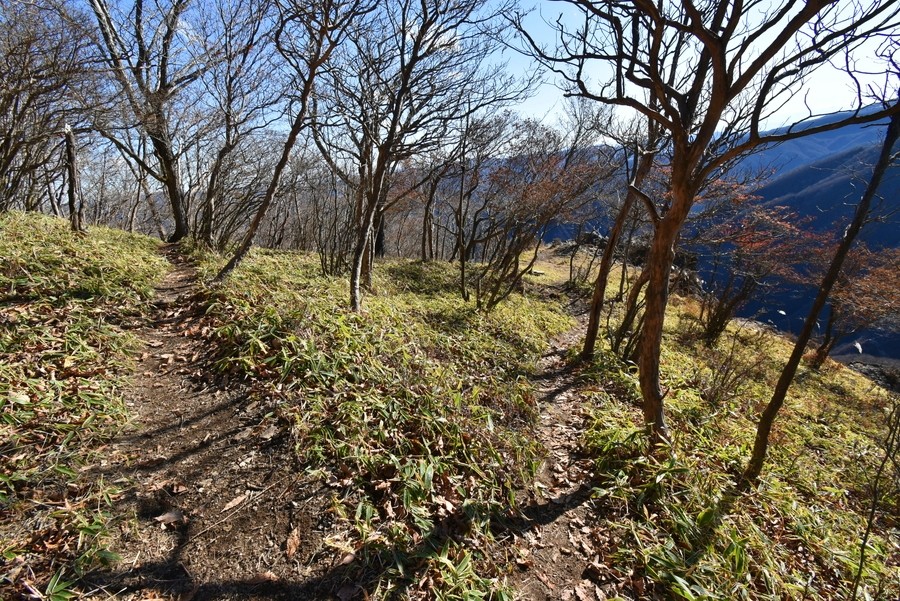 f:id:threepeaks:20211126214021j:plain