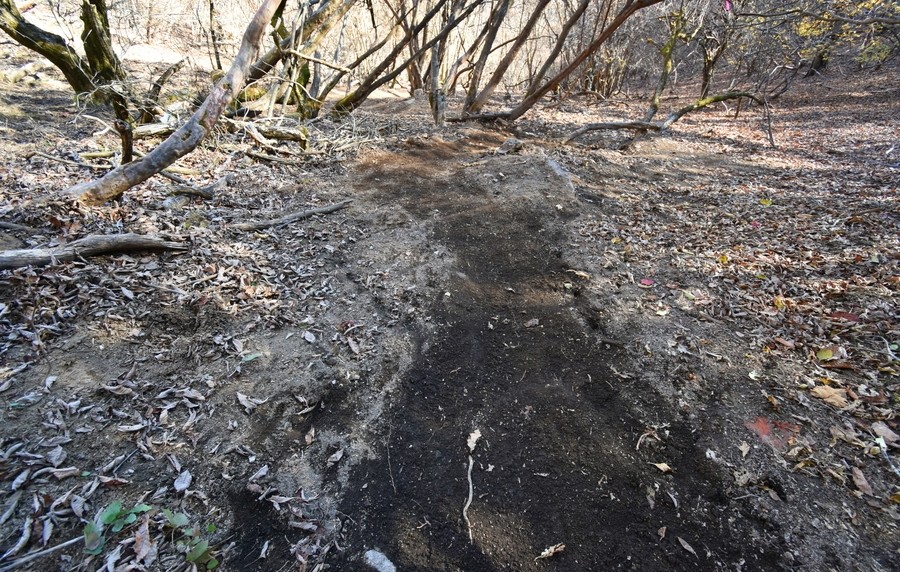 f:id:threepeaks:20211126215322j:plain