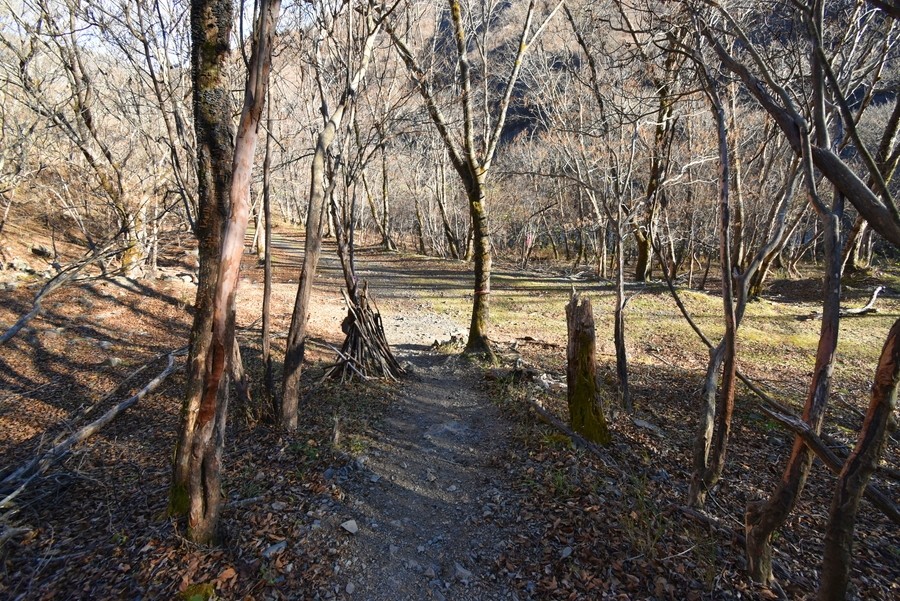 f:id:threepeaks:20211126215445j:plain