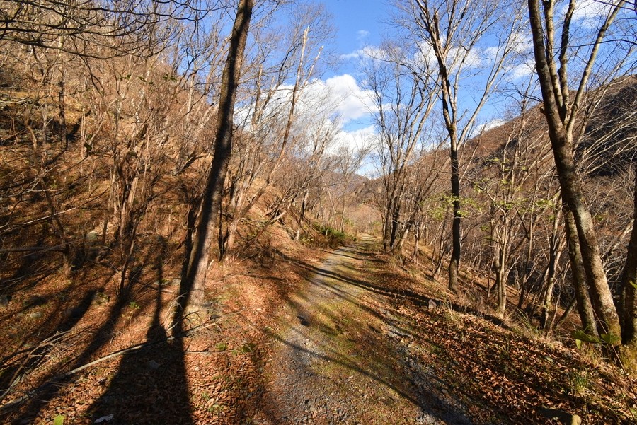 f:id:threepeaks:20211126215511j:plain