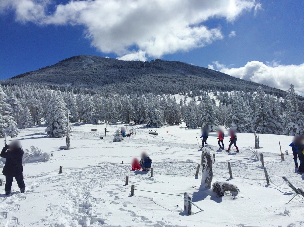 f:id:threepeaks:20220111203122j:plain