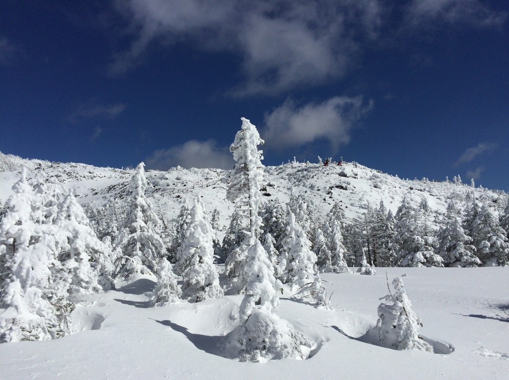 f:id:threepeaks:20220111203734j:plain