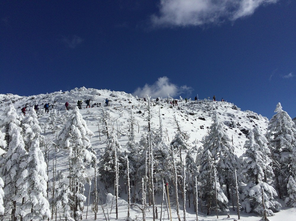 f:id:threepeaks:20220111211954j:plain