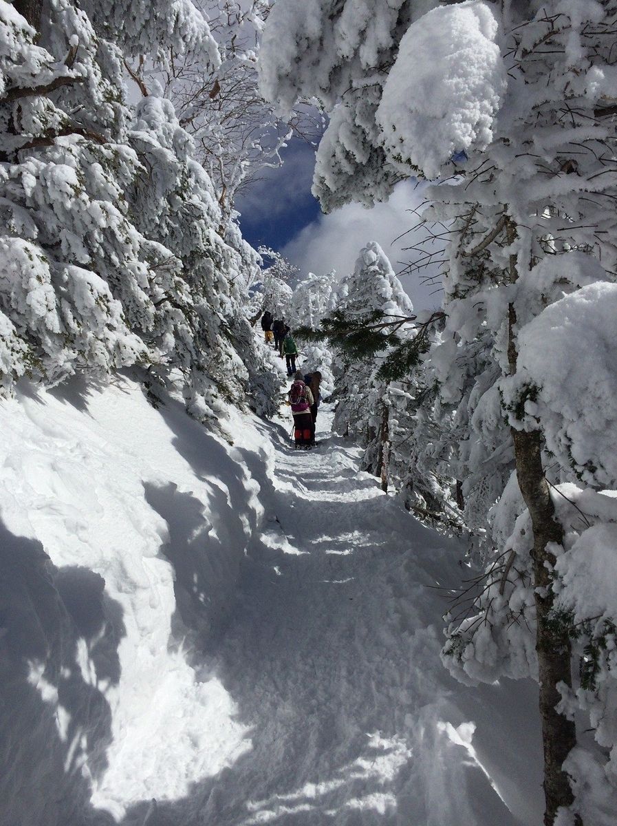 f:id:threepeaks:20220111213146j:plain