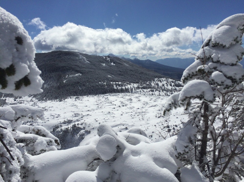 f:id:threepeaks:20220111213247j:plain