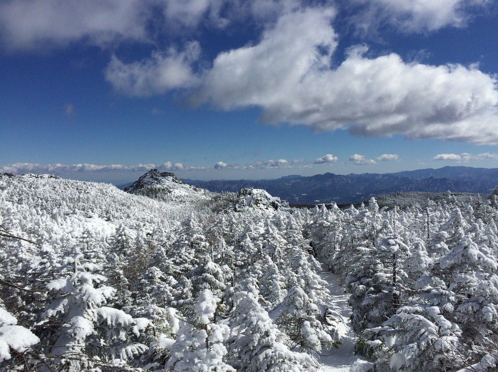 f:id:threepeaks:20220111213330j:plain