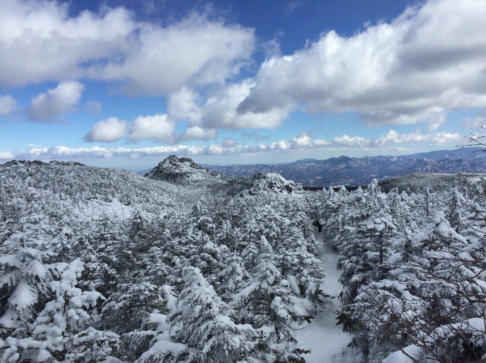 f:id:threepeaks:20220112115801j:plain