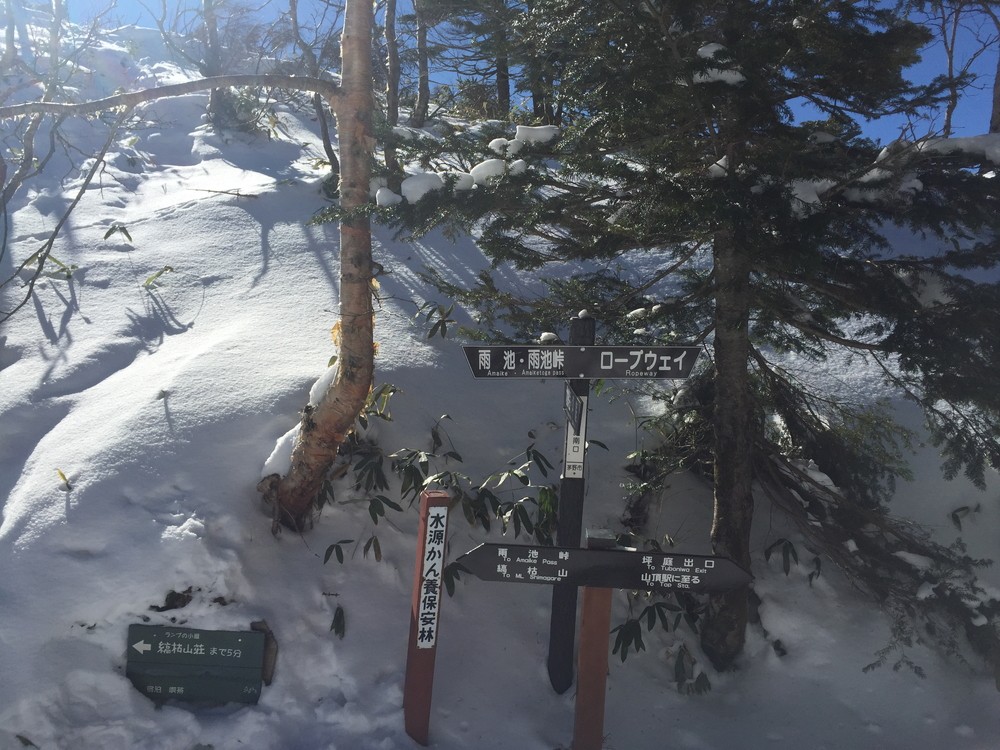 f:id:threepeaks:20220112120654j:plain