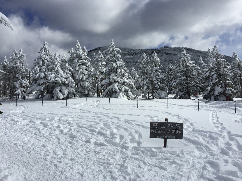 f:id:threepeaks:20220112121016j:plain