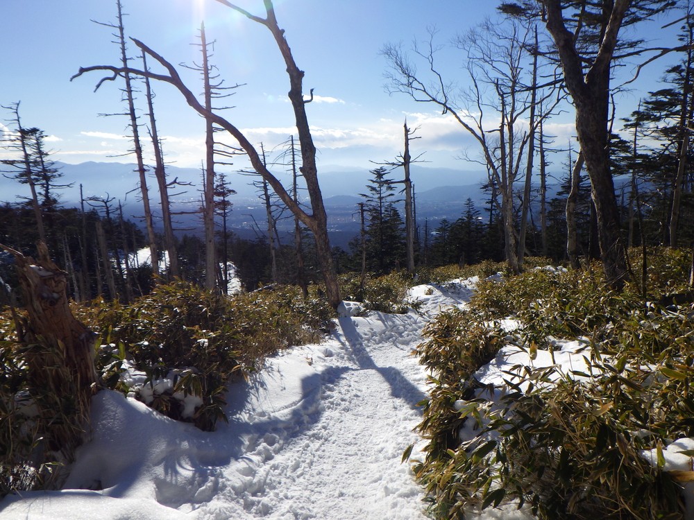 f:id:threepeaks:20220112181904j:plain