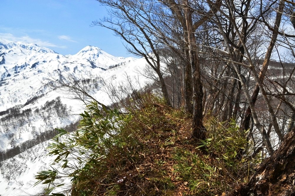 f:id:threepeaks:20220409212311j:plain