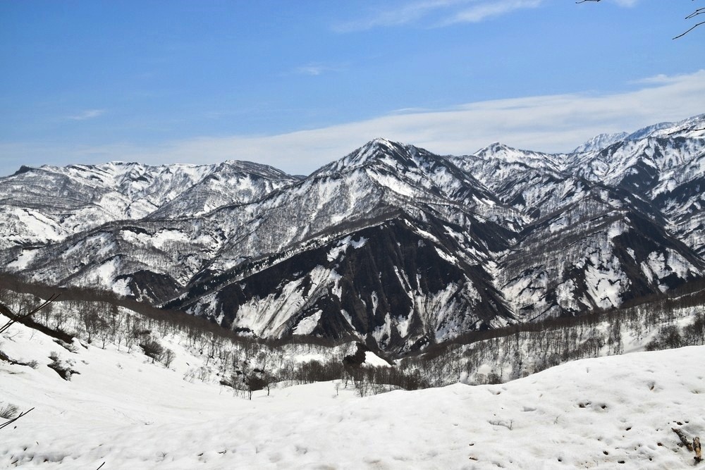 f:id:threepeaks:20220409213028j:plain