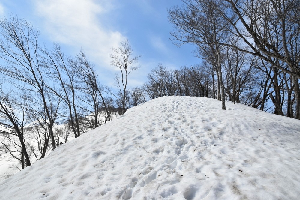 f:id:threepeaks:20220409213755j:plain