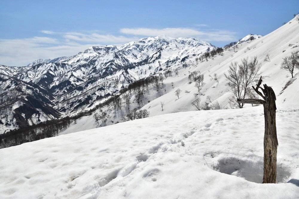 f:id:threepeaks:20220409213937j:plain