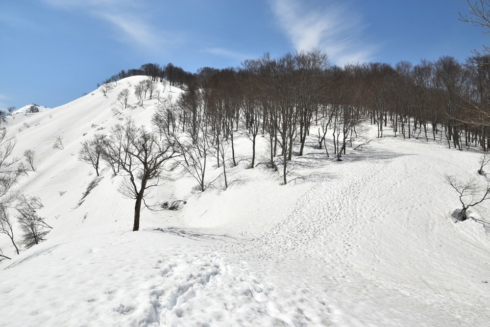 f:id:threepeaks:20220409214052j:plain