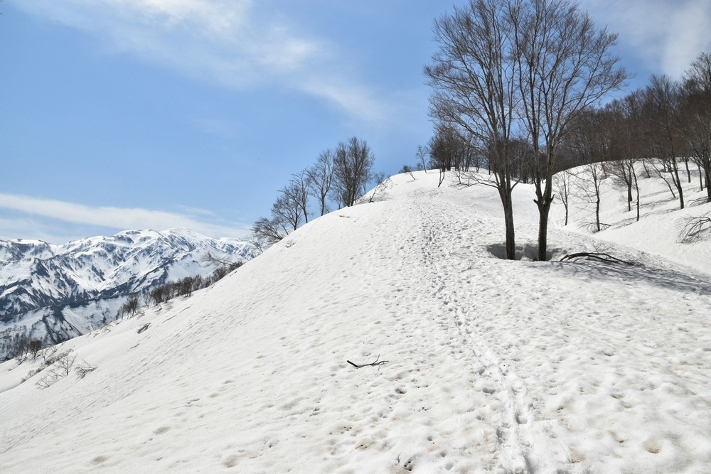 f:id:threepeaks:20220409214219j:plain