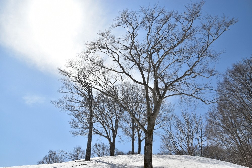 f:id:threepeaks:20220409214553j:plain