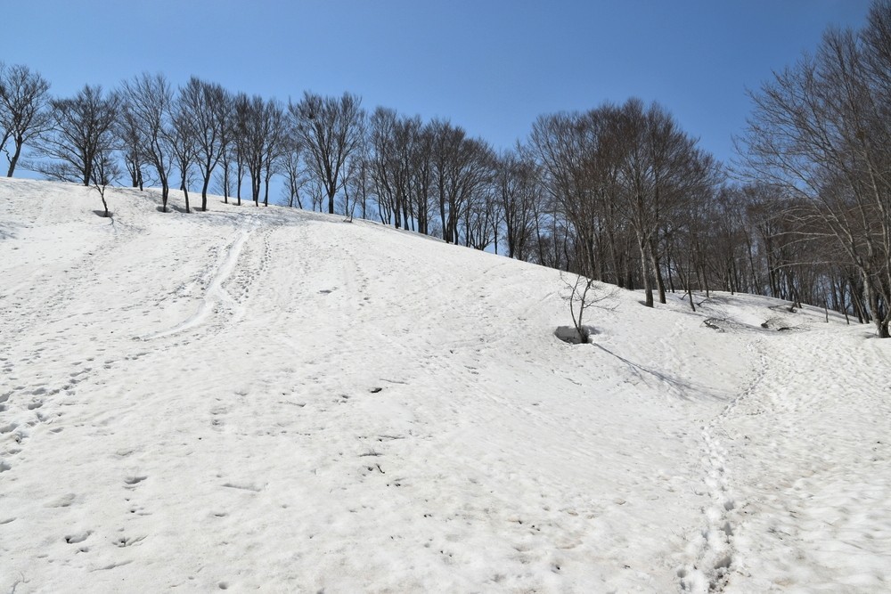 f:id:threepeaks:20220409215419j:plain