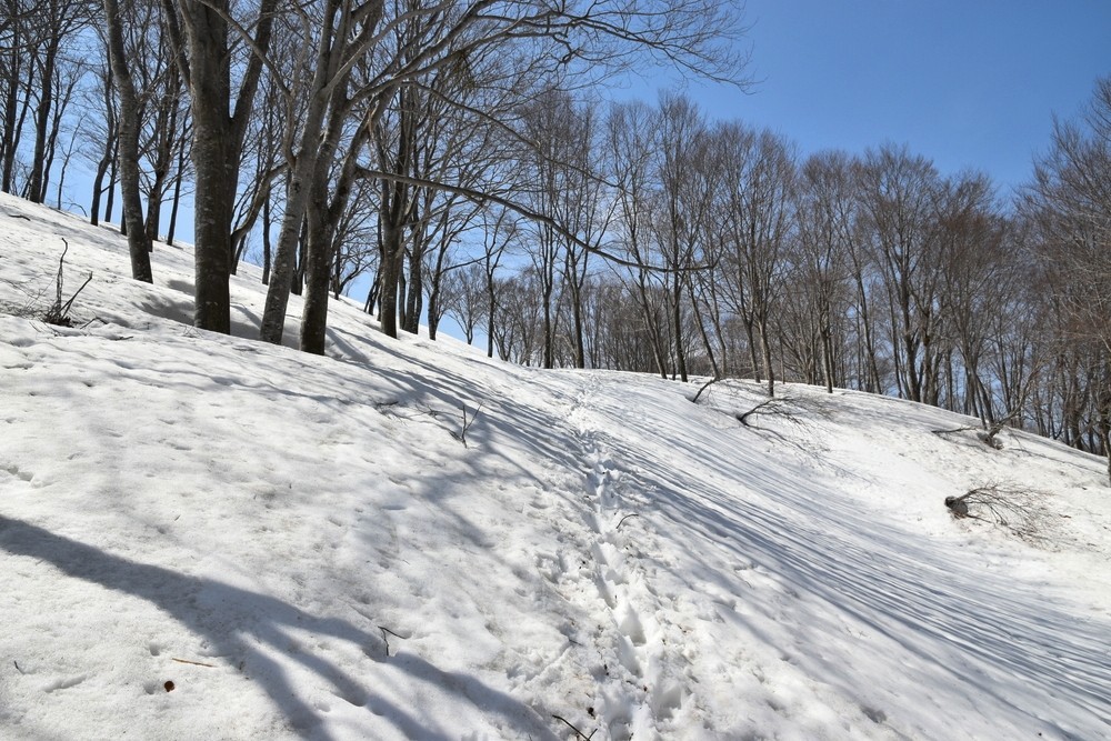 f:id:threepeaks:20220409215619j:plain