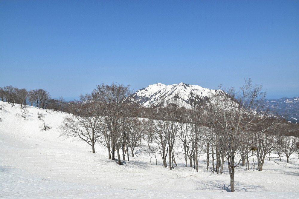 f:id:threepeaks:20220409215939j:plain