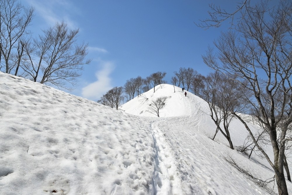 f:id:threepeaks:20220409220213j:plain