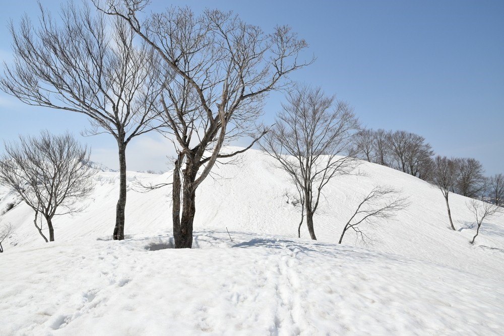 f:id:threepeaks:20220409221415j:plain