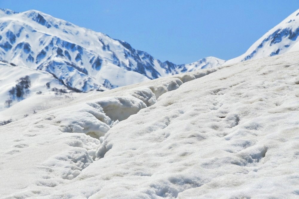 f:id:threepeaks:20220409224312j:plain