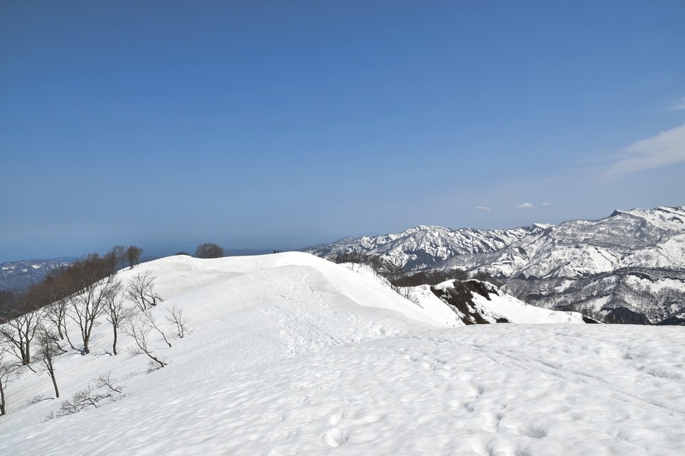 f:id:threepeaks:20220409231052j:plain