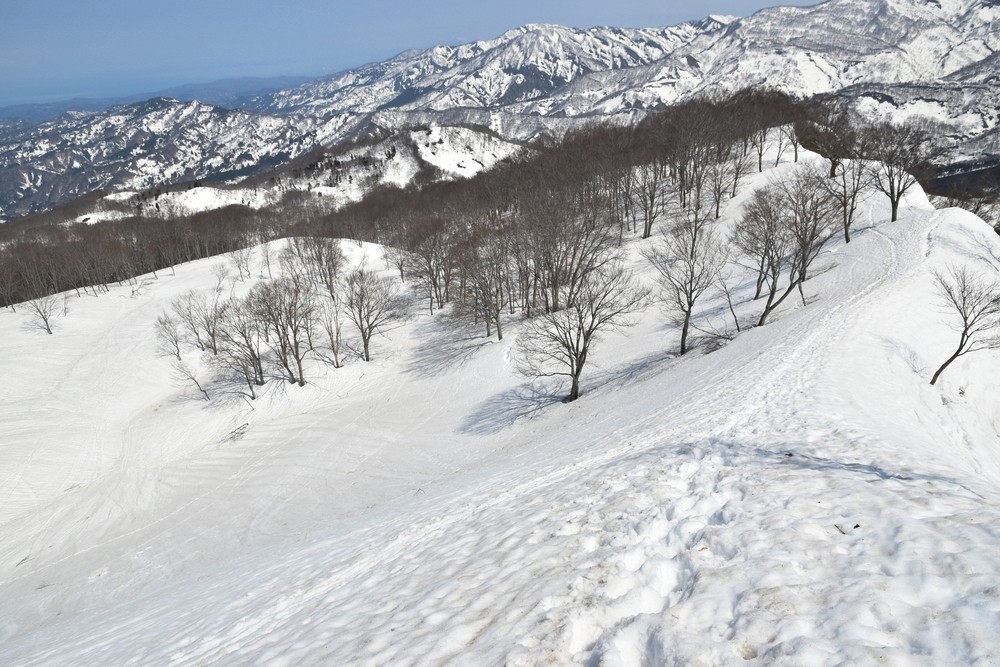 f:id:threepeaks:20220409233432j:plain