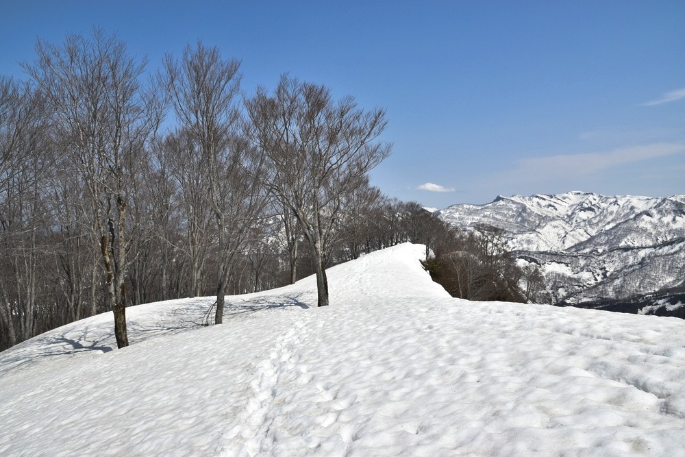 f:id:threepeaks:20220409233500j:plain